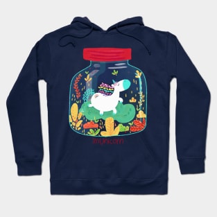 unicorn's wish Hoodie